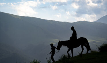 Crop Trust sponsored visit to Kazakhstan and Kyrgyzstan from 15-28 July to document alfalfa pre-breeding project. Photo: Michael Major for Crop Trust