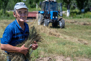 Baling alfalfa in northern Kyrgyzstan. Crop Trust sponsored visit to Kazakhstan and Kyrgyzstan from 15-28 July to document alfalfa pre-breeding project. Photo: Michael Major for Crop Trust