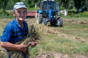 Baling alfalfa in northern Kyrgyzstan. Crop Trust sponsored visit to Kazakhstan and Kyrgyzstan from 15-28 July to document alfalfa pre-breeding project. Photo: Michael Major for Crop Trust