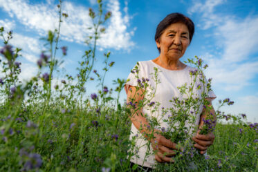 Kyrgyzstan scientist Batma Tentieva received a crop breeder's ultimate accolade when her institute, the Kyrgyz Research Institute of Livestock and Pastures, named the alfalfa variety she bred after her.