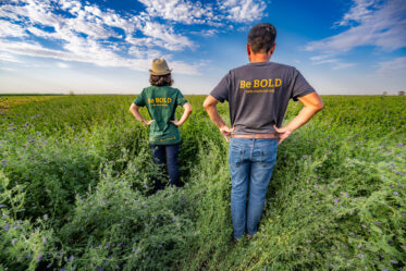 Be BOLD in northern Kyrgyzstan. Crop Trust sponsored visit to Kazakhstan and Kyrgyzstan from 15-28 July to document alfalfa pre-breeding project. Photo: Michael Major for Crop Trust