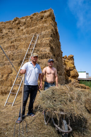 Crop Trust sponsored visit to Kazakhstan and Kyrgyzstan from 15-28 July to document alfalfa pre-breeding project. Photo: Michael Major for Crop Trust
