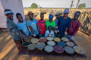 Farm of Mrs Rebaone Seabelo in Kweneng District of southern Botswana.
Photo taken during a visit to Botswana from 18-20 October 2023 to document success stories under a project “Improving Agricultural Resilience to Salinity through Development and Promotion of Pro-poor Technologies (RESADE)” implemented by the International Center for Biosaline Agriculture (ICBA) and funded by the International Fund for Agricultural Development (IFAD) and the Arab Bank for Economic Development in Africa (BADEA).
More information about the project can be found at: resade.biosaline.org/
Photo credit: Michael Major for ICBA