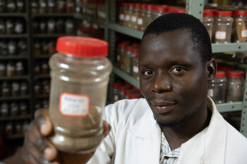 Soil laboratory of the Mozambique Institute of Agricultural Research (IIAM).
Photo taken during a visit to Botswana from 23-25 October 2023 to document success stories under a project “Improving Agricultural Resilience to Salinity through Development and Promotion of Pro-poor Technologies (RESADE)” implemented by the International Center for Biosaline Agriculture (ICBA) and funded by the International Fund for Agricultural Development (IFAD) and the Arab Bank for Economic Development in Africa (BADEA).
More information about the projec