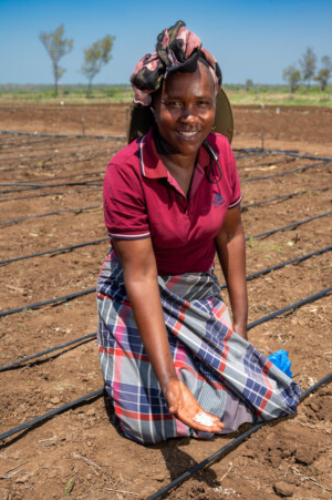 Training activities at the RESADE Moamaba hub.
Photo taken during a visit to Botswana from 23-25 October 2023 to document success stories under a project “Improving Agricultural Resilience to Salinity through Development and Promotion of Pro-poor Technologies (RESADE)” implemented by the International Center for Biosaline Agriculture (ICBA) and funded by the International Fund for Agricultural Development (IFAD) and the Arab Bank for Economic Development in Africa (BADEA).
More information about the project can be found at: resade.biosaline.org/
Photo credit: Michael Major for ICBA