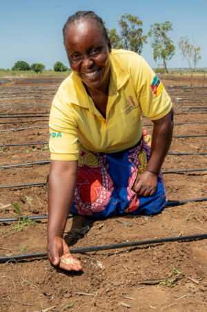 Training activities at the RESADE Moamaba hub.
Photo taken during a visit to Botswana from 23-25 October 2023 to document success stories under a project “Improving Agricultural Resilience to Salinity through Development and Promotion of Pro-poor Technologies (RESADE)” implemented by the International Center for Biosaline Agriculture (ICBA) and funded by the International Fund for Agricultural Development (IFAD) and the Arab Bank for Economic Development in Africa (BADEA).
More information about the project can be found at: resade.biosaline.org/
Photo credit: Michael Major for ICBA
