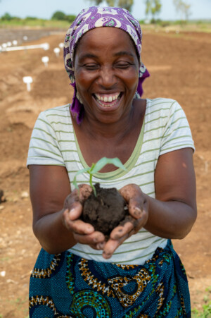 Training activities at the RESADE Moamaba hub.
Photo taken during a visit to Botswana from 23-25 October 2023 to document success stories under a project “Improving Agricultural Resilience to Salinity through Development and Promotion of Pro-poor Technologies (RESADE)” implemented by the International Center for Biosaline Agriculture (ICBA) and funded by the International Fund for Agricultural Development (IFAD) and the Arab Bank for Economic Development in Africa (BADEA).
More information about the project can be found at: resade.biosaline.org/
Photo credit: Michael Major for ICBA