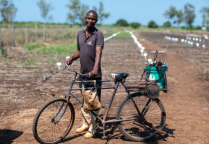 Training activities at the RESADE Moamaba hub.
Photo taken during a visit to Botswana from 23-25 October 2023 to document success stories under a project “Improving Agricultural Resilience to Salinity through Development and Promotion of Pro-poor Technologies (RESADE)” implemented by the International Center for Biosaline Agriculture (ICBA) and funded by the International Fund for Agricultural Development (IFAD) and the Arab Bank for Economic Development in Africa (BADEA).
More information about the project can be found at: resade.biosaline.org/
Photo credit: Michael Major for ICBA