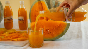 Photo taken during a visit to Botswana from 18-20 October 2023 to document success stories under a project “Improving Agricultural Resilience to Salinity through Development and Promotion of Pro-poor Technologies (RESADE)” implemented by the International Center for Biosaline Agriculture (ICBA) and funded by the International Fund for Agricultural Development (IFAD) and the Arab Bank for Economic Development in Africa (BADEA).
More information about the project can be found at: resade.biosaline.org/
Photo credit: Michael Major for ICBA