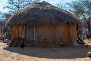 Farm of Mrs Rebaone Seabelo in Kweneng District of southern Botswana.
Photo taken during a visit to Botswana from 18-20 October 2023 to document success stories under a project “Improving Agricultural Resilience to Salinity through Development and Promotion of Pro-poor Technologies (RESADE)” implemented by the International Center for Biosaline Agriculture (ICBA) and funded by the International Fund for Agricultural Development (IFAD) and the Arab Bank for Economic Development in Africa (BADEA).
More information about the project can be found at: resade.biosaline.org/
Photo credit: Michael Major for ICBA