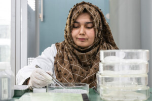 Viability testing in National Genebank of Pakistan.
Benish Jameel, Plant Genetic Resources Institute
Visit by Michael Major, consultant to Crop Trust, to document BOLD WP1 activities at Pakistan's Plant Genetic Resources Institute and National Genebank of Pakistan from 28 October to 1 November 2024.
Photo: Michael Major for Crop Trust