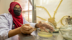 Seed health unit, National Genebank of Pakistan.
Ms. Saima Naeem, Plant Genetic Resources Institute
Visit by Michael Major, consultant to Crop Trust, to document BOLD WP1 activities at Pakistan's Plant Genetic Resources Institute and National Genebank of Pakistan from 28 October to 1 November 2024.
Photo: Michael Major for Crop Trust