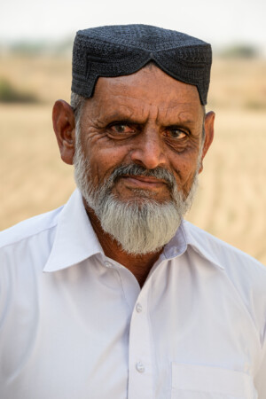Visit ot farmers of Kot Sarang, Punjab to view chickpea trials and community seedbank.
Visit by Michael Major, consultant to Crop Trust, to document BOLD WP1 activities at Pakistan's Plant Genetic Resources Institute and National Genebank of Pakistan from 28 October to 1 November 2024.
Photo: Michael Major for Crop Trust