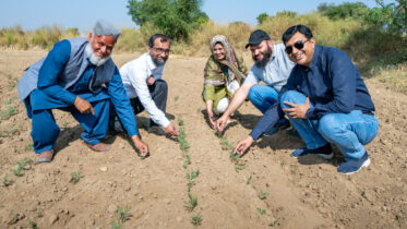 Visit of farmers of Kot Sarang, Punjab to view chickpea trials and community seedbank.
Photo: Michael Major for Crop Trust
