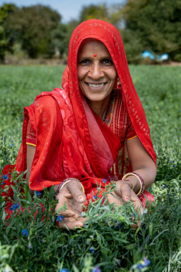 Visit to the BOLD WP2 grasspea demonstration farm cultivated by Mrs. Shushila Parmar in Bamuliya, District Sehore, India.
Photo: Michael Major for Crop Trust