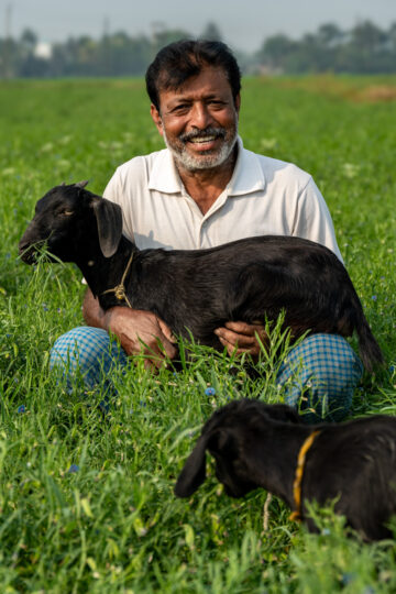 BOLD WP2 grasspea visit to Nadia district in southern West Bengal.
The district is largely alluvial plain, formed by the constant shifting of the various rivers of the Ganges Delta.
Grasspea is one of the most prominent crops in this region. The BOLD team visited a 28-acre farmers field cultivated with low ODAP grasspea varieties (Ratan and Prateek).
Grasspea. cultivation is dual purpose Along with seeds for human consumption, nutritive fodder is available for animals..
Farmers, by incorporating grasspea in this area overcome challenges and are extremely happy. They opt for relay cropping and broadcast the seed two weeks before harvest to serve as a second, soil-enriching crop.
Photo: Michael Major for Crop Trust