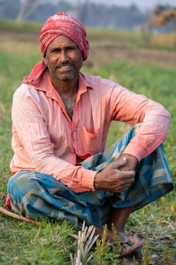 BOLD WP2 grasspea visit to Nadia district in southern West Bengal.
The district is largely alluvial plain, formed by the constant shifting of the various rivers of the Ganges Delta.
Grasspea is one of the most prominent crops in this region. The BOLD team visited a 28-acre farmers field cultivated with low ODAP grasspea varieties (Ratan and Prateek).
Grasspea. cultivation is dual purpose Along with seeds for human consumption, nutritive fodder is available for animals..
Farmers, by incorporating grasspea in this area overcome challenges and are extremely happy. They opt for relay cropping and broadcast the seed two weeks before harvest to serve as a second, soil-enriching crop.
Photo: Michael Major for Crop Trust
