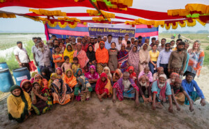 Field Day and Farmers' Gathering on Grasspea Production at Char Areas. Held on 1 March 2023 at Char Bongram, Chilmari, Kurigram, Bangladesh. Conducted by On Farm Research Division, BARI, Alamangar, Rangpur with support by ICARDA. Question session convened by the Crop Trust. Photos: Michael Major for Crop Trust