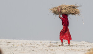 Photo: Michael Major for Crop Trust