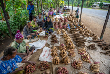 Roadside market with sweetpotato diversity near Goroka, Central Highlands, Papua New Guinea: Photo: Michael Major for Crop Trust