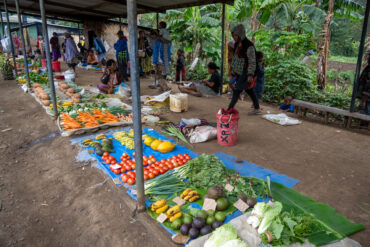 Roadside market with sweetpotato diversity near Goroka, Central Highlands, Papua New Guinea: Photo: Michael Major for Crop Trust