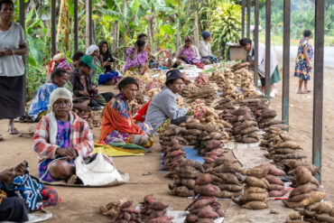 Roadside market with sweetpotato diversity near Goroka, Central Highlands, Papua New Guinea: Photo: Michael Major for Crop Trust
