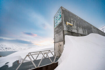The Svalbard Global Seed Vault was inaugurated in February 2008 as a secure backup facility for the world's crop diversity on the Svalbard archipelago of Norway. 
As of February 2025 it has received seed samples from 123 genebanks in 85 countries around the world,
Photo: Michael Major for Crop Trust