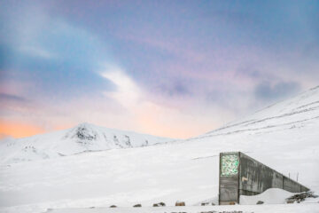 The Svalbard Global Seed Vault was inaugurated in February 2008 as a secure backup facility for the world's crop diversity on the Svalbard archipelago of Norway. 
As of February 2025 it has received seed samples from 123 genebanks in 85 countries around the world,
Photo: Michael Major for Crop Trust