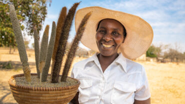 Farmer visit to Malunga in the Matabeleland South province in southwestern Zimbabwe.
Crop Trust BOLD Project visit to Zimbabwe from 9-13 September to review WP4 projects (Safety Duplication at Svalbard Global Seed Vault) with the Lupane State University, Community Technology Development Trust and Genetic Resources and Biotechnology Institute.
Photo: Michael Major for Crop Trust