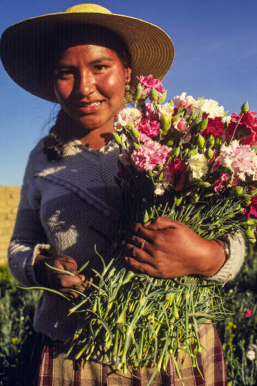 Bolivian girl holding bunch of carnations which she has picked from the field