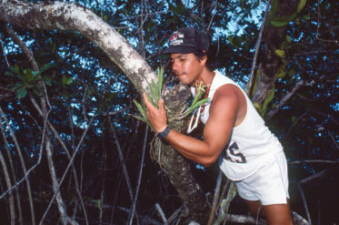 Holiday in Belize from 26 February to 5 May 1990. Travelled to Caye Caulker and did some dives from PADI certificate. Also travelled to Altun Ha on the mainland.