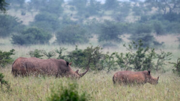 Photo: Michael Major/Crop Trust