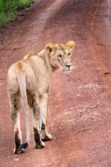 Photo: Michael Major/Crop Trust