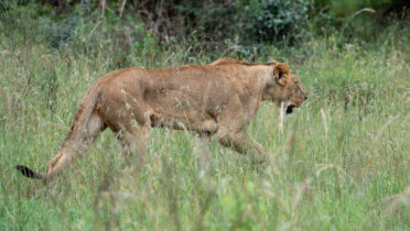 Photo: Michael Major/Crop Trust
