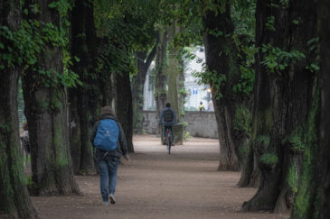 Brühler Garten. Erfurt is the capital and largest city in the state of Thuringia, central Germany.