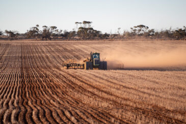 Farmer dry sowing wheat with GPS-guided direct seeder in Kimba, South Australia under dry conditions
