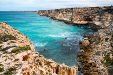 The Bunda Cliffs seen here at the Head of Bight are composed of three units of limestone and stretch 100 km along the Great Australian Bight.