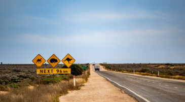 Animal crossing notice on Eyre Highway on the Far West Coast of South Australia near the Nullarbor roadhouse