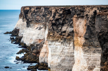 The Bunda Cliffs stretch roughly 100 km along the Great Australian Bight. The cliffs formed when Australia separated from Antarctica approximately 65 million years ago.