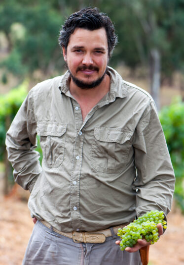 Australian/Argentinian winemaker and viticulturist, Martin Moran, picks Chardonnay grapes at the vineyard of his company Mordrelle Wines in Lenswood the Adelaide Hills of South Australia