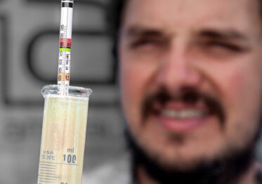 Australian/Argentinian winemaker and viticulturist, Martin Moran, picks Chardonnay grapes at the vineyard of his company Mordrelle Wines in Lenswood the Adelaide Hills of South Australia