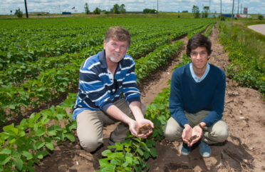 Michael and Joseph Major on Henry Webert's original farm. Present owner is growing soybeans.