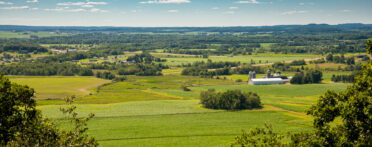 View of agricultural land from Elk Mound tower.