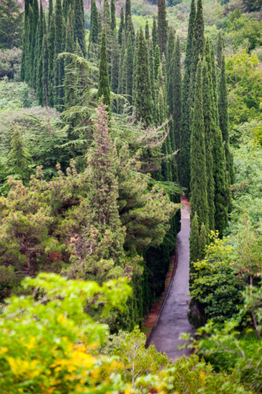 The National Botanical Garden of Georgia is located in Tbilisi, Georgia and occupies an area of 161 hectares.