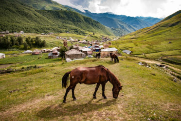 Grazing horse in hills outside of Ushguli, Georgia. At 2100 masl Ushguli is one of the highest continuously inhabited settlements in Europe