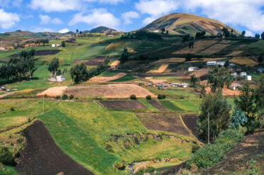 Patchwork crops of maize and other crops in the foothills of Chimborazo Volcano near Riobamba Ecuador