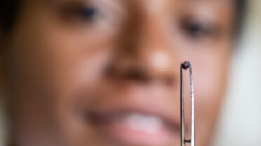 BOLD WP4 project “Regeneration, Conservation and Safety Duplication of Papua New Guinea Sweetpotato Germplasm Collection through Botanical Seeds at the Svalbard Global Seed
Vault” funded by the Global Crop Diversity Trust in Papua New Guinea. Photo: Michael Major for Crop Trust