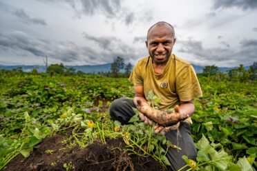 Farmer Anton Kua in the Asaro Valley at Meteiyufa village. BOLD WP4 project “Regeneration, Conservation and Safety Duplication of Papua New Guinea Sweetpotato Germplasm Collection through Botanical Seeds at the Svalbard Global Seed Vault” funded by the Global Crop Diversity Trust in Papua New Guinea. Photo: Michael Major for Crop Trust