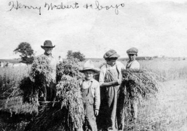 Henry Webert and three boys harvesting oat near family farm in Rusk.