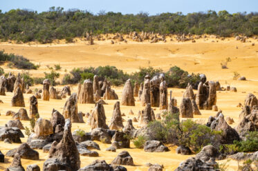 Pinnacles Desert in Nambung National Park